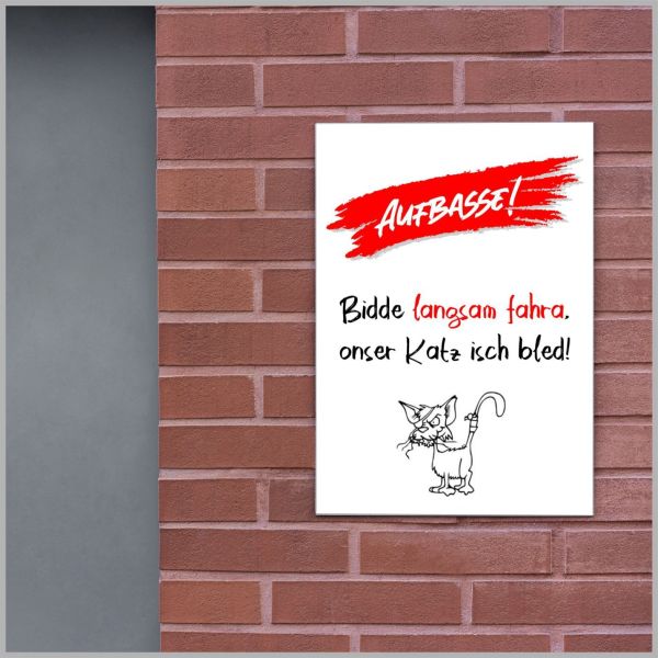 Schild Katz isch bled